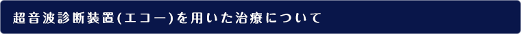 超音波診断装置(エコー)を用いた治療について